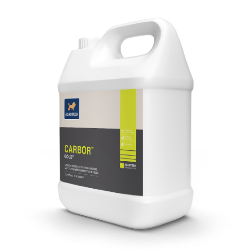 CARBOR Gold product bottle